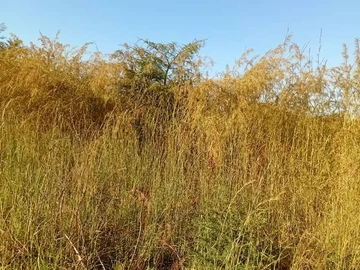 Farm & Agricultural Land