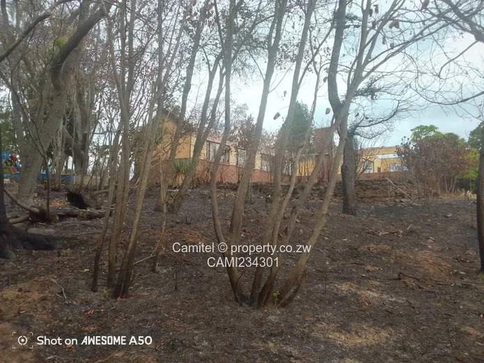 A good potential Investment