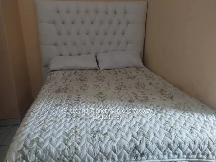 Norton Mwashuma Park - 9 bedroomed house for sale.