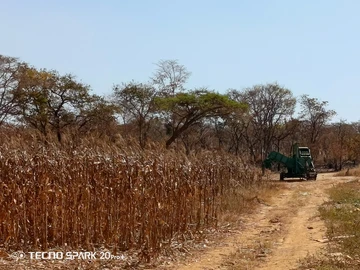 Farm & Agricultural Land