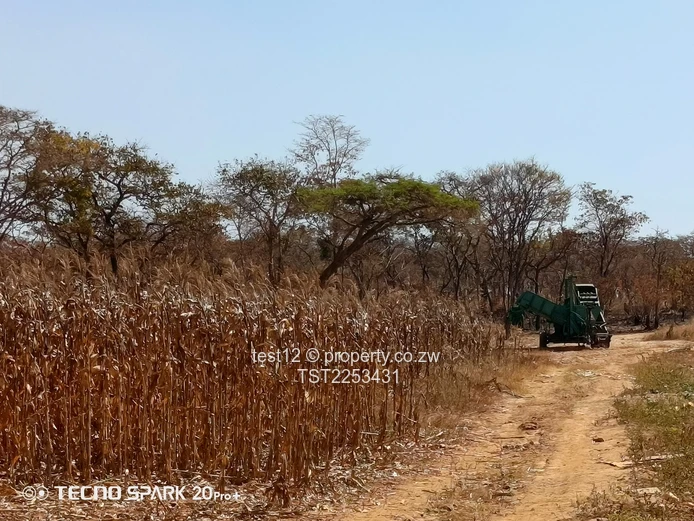 Mazowe Farm For Sale  (Sole Mandate)