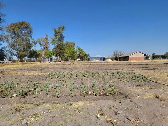 Farm & Agricultural Land