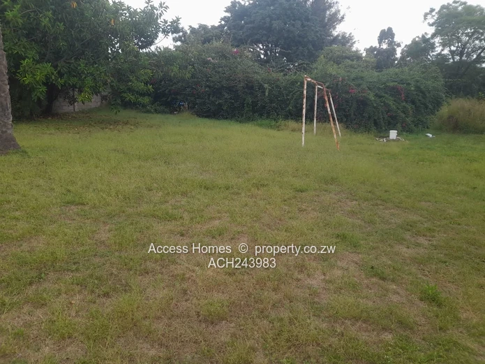 Hatfield Stand for Sale