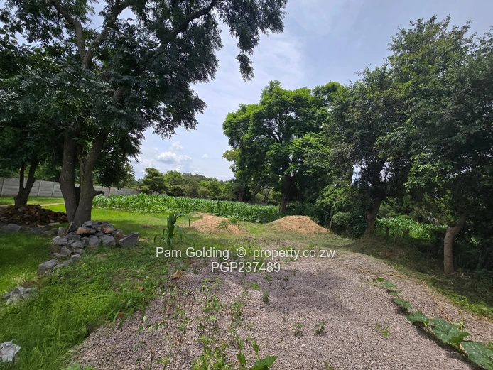  A Vacant Stand With A 4-roomed Cottage (Sole Mandate)