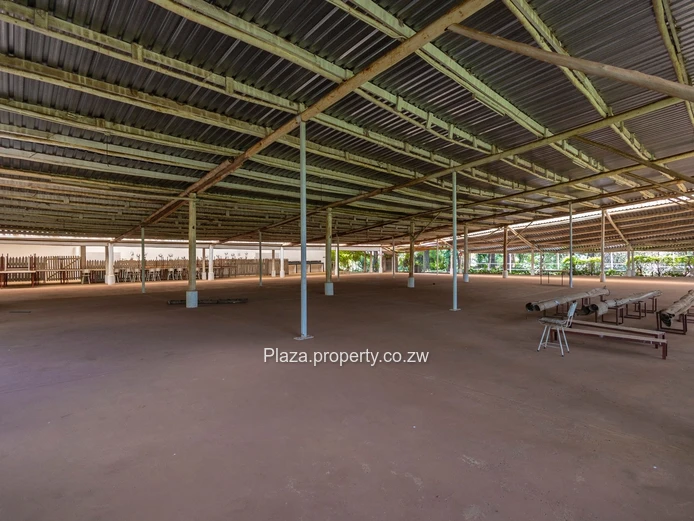 Property With Kirkman Rd Frontage!
