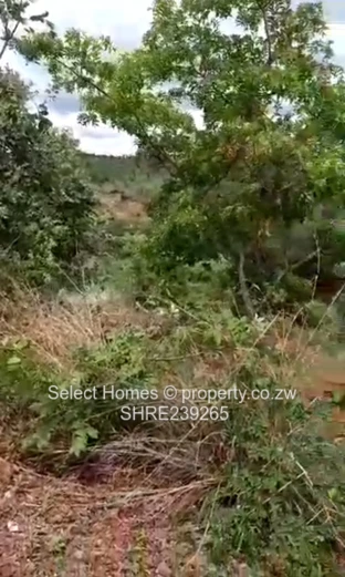 Shawasha Hills Land For Sale