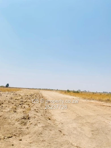 Golden Estate Amalinda Stands for Sale