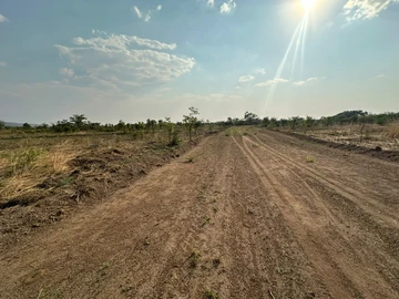 Farm & Agricultural Land