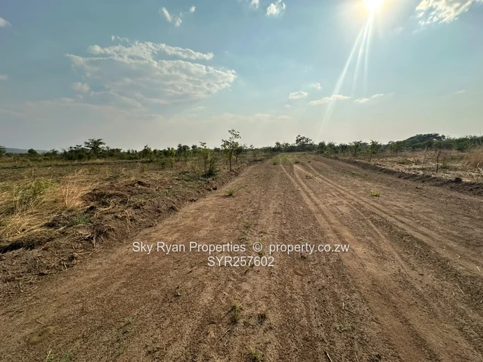 Knockmallock Estate, Norton – Agro-Residential Plots For Sale 