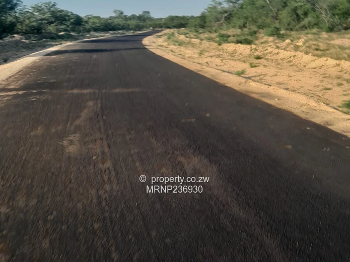 Plumtree Stands for sale