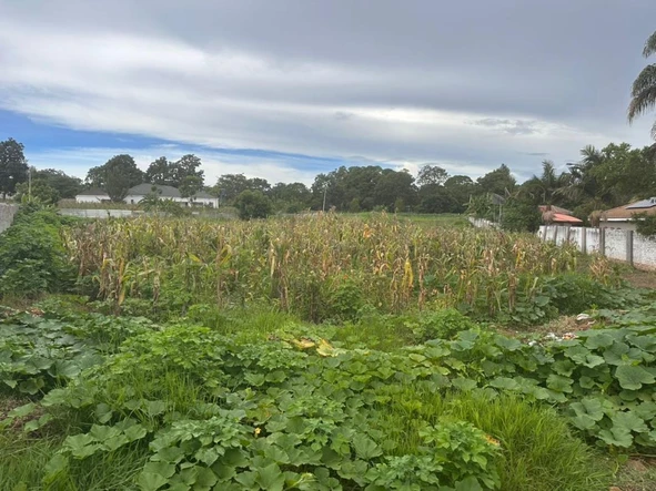 Stands & Residential Land