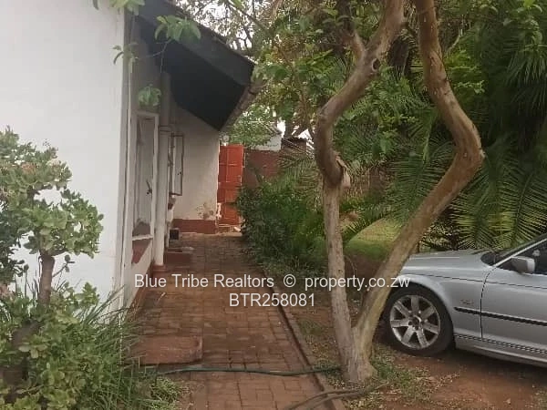 Haig Park Property For Sale 