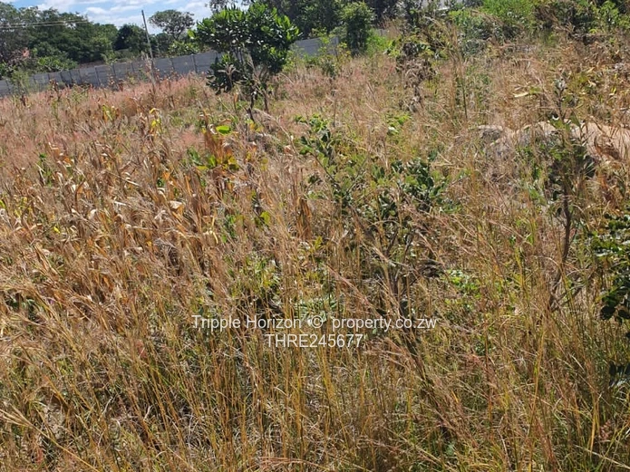 1000m² Stand in Crowhill Views — Gravel Road Access