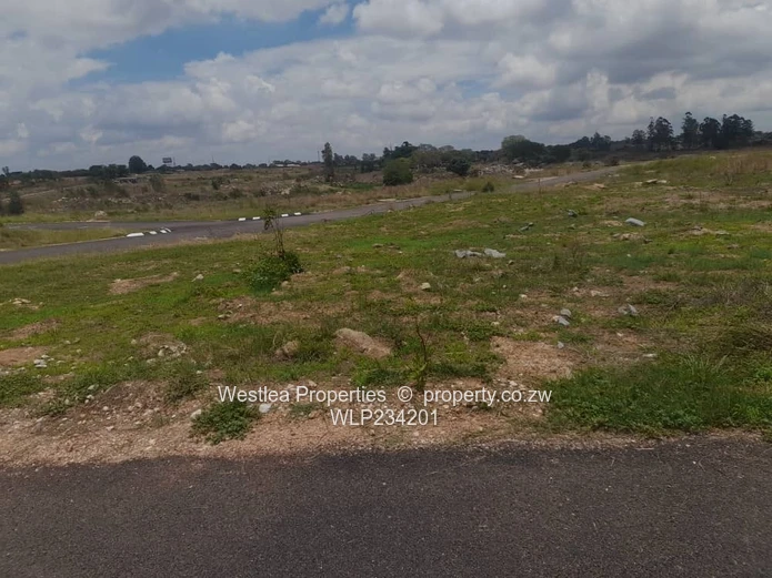 An opportunity not to miss