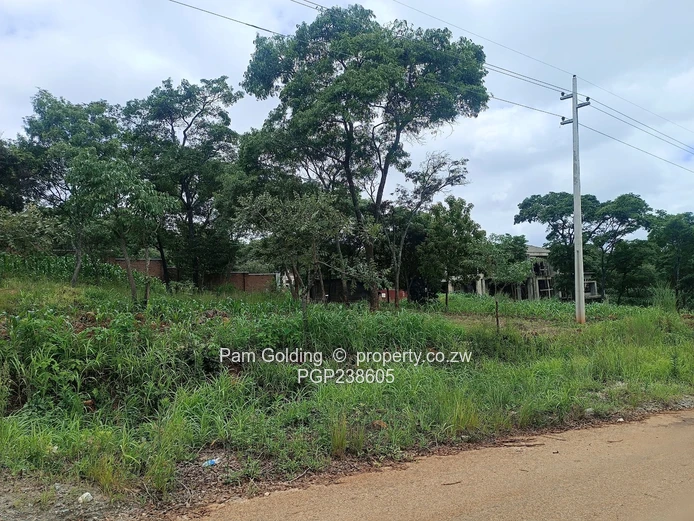 Corner Residential Stand For Sale!