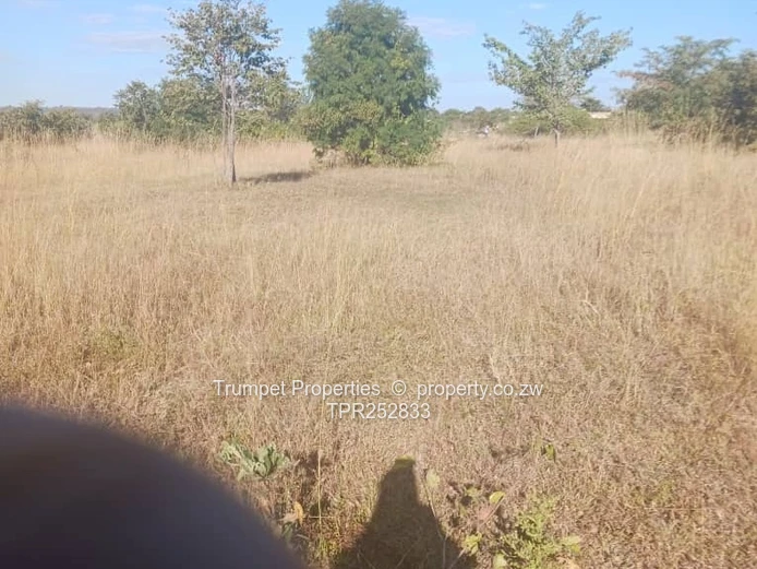 5ha Arable Grazing Farm in Goromonzi - Gravel Access (Sole Mandate)