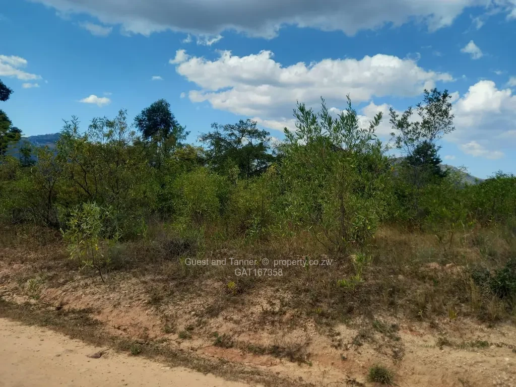 Stands & Residential Land for Sale in Nyanga GAT167358