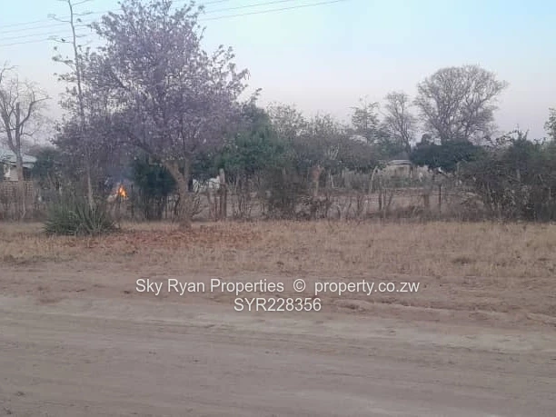 Plumtree Stand For Sale 