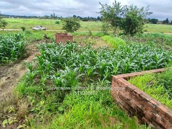 Residential Stand for Sale – Glen Lorne | US$230,000