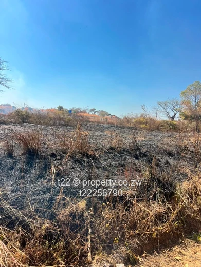Sawara hills stands for sale with Title Deeds!!!