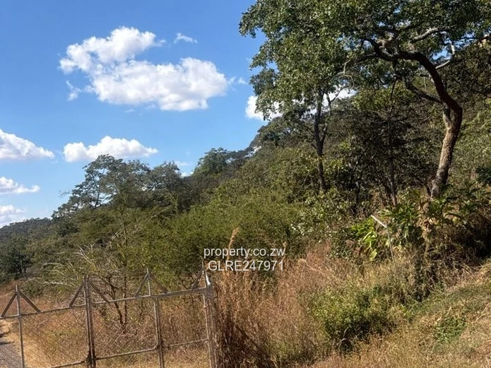 3500m² Tree-Shaded Stand with Gated Access in Glen Lorne