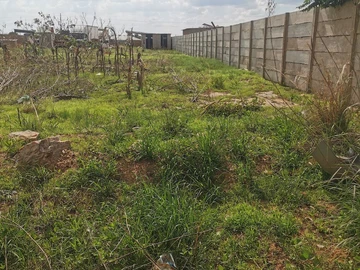 Commercial & Industrial Land