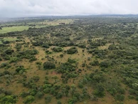 Farm & Agricultural Land