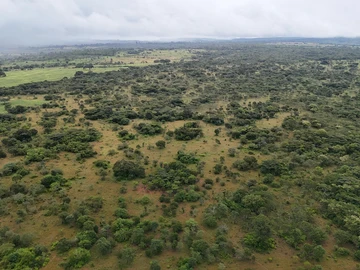 Farm & Agricultural Land