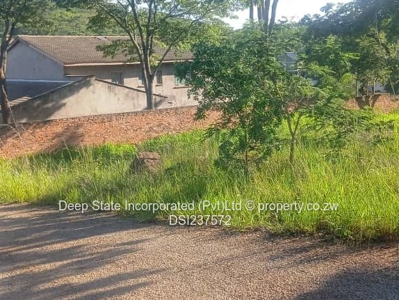 Borrowdale Carrick creagh stands for sale 