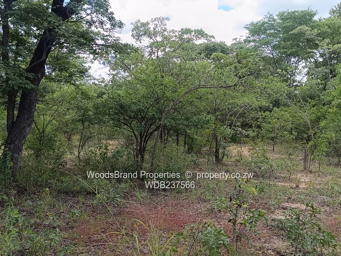 Chegutu, Dorton Plots For Sale