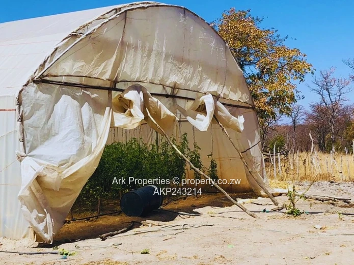 Farm For Sale In Ngezi