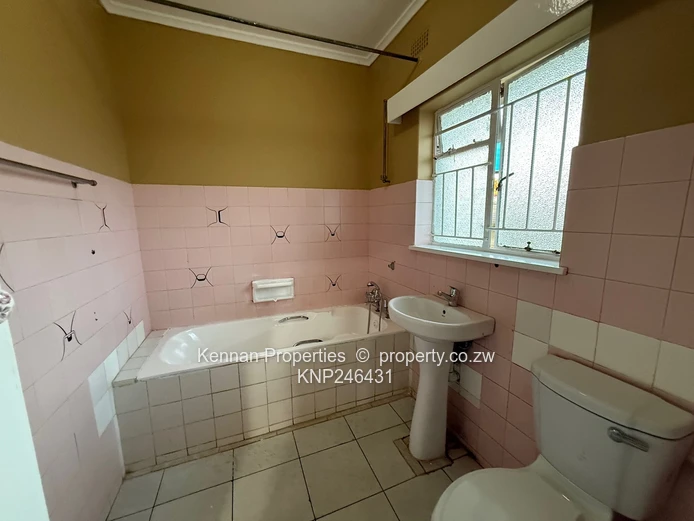 Spacious House in the Heart of New Alexandra Park