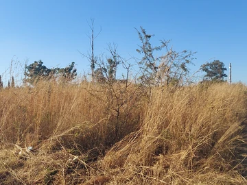 Prime Development Plot For Sale – Spitzkop Area, Harare 