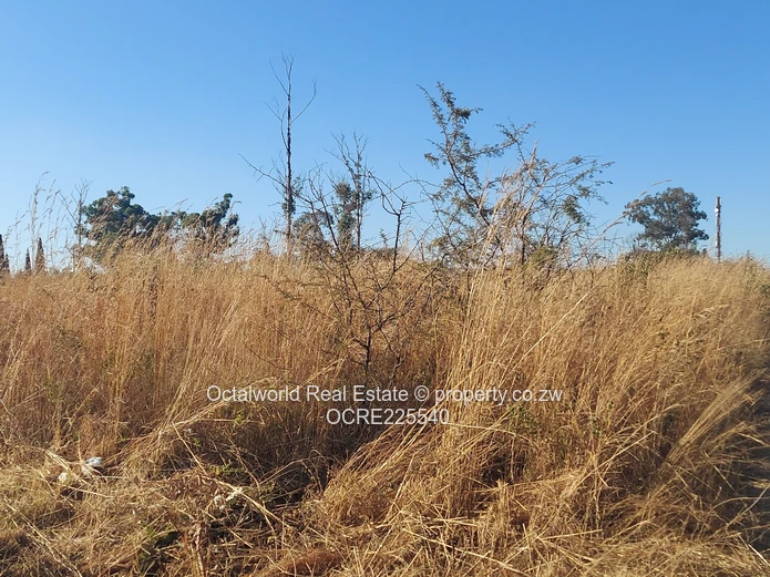 Prime Development Plot For Sale – Spitzkop Area, Harare 