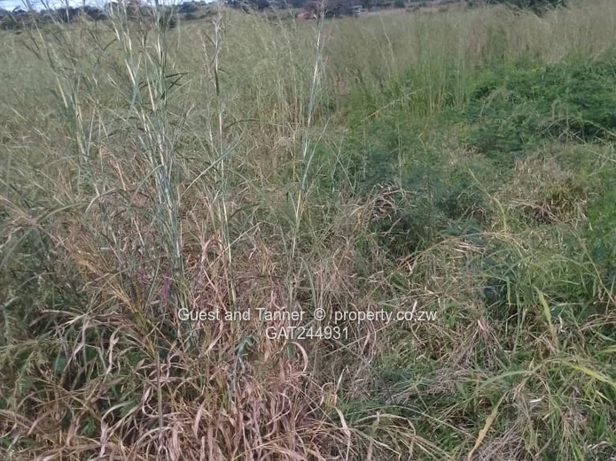Residential Stand For Sale In Greenhill Bindura