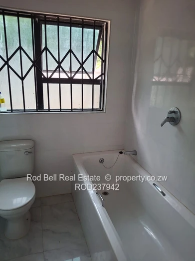 Bright 3-Bed Garden Flat Alexandra Park — Modern Kitchen