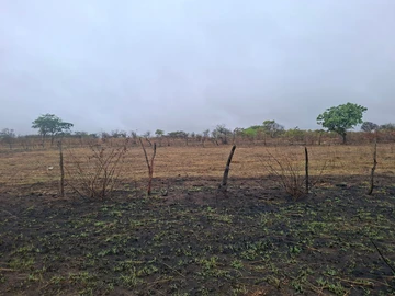Farm & Agricultural Land