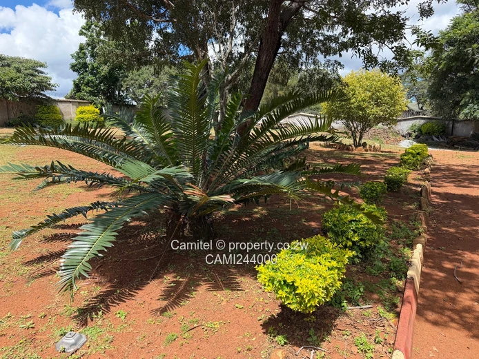 Subdivision Stand 2000sqm,clean deed in kingsmaid Borrowdale 