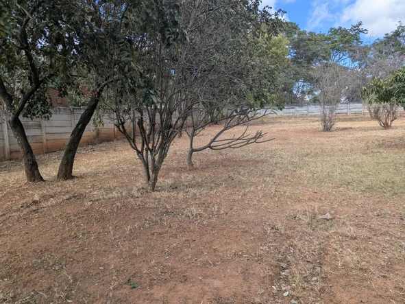 Stands & Residential Land