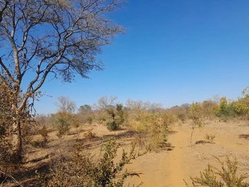 Farm & Agricultural Land