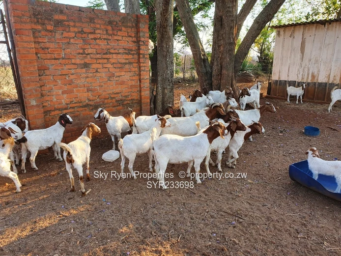 Bulawayo Waterford Land  For Sale 