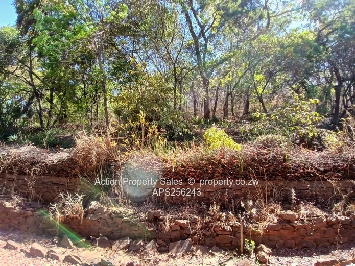 6936 Square Meters Of Land! 
