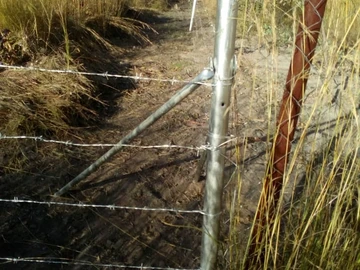 Farm & Agricultural Land