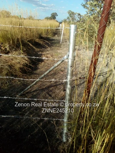 Norton plot for sale