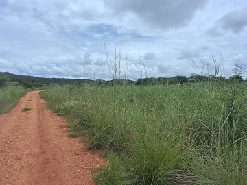 Red Soil Agro-Residential Plot  