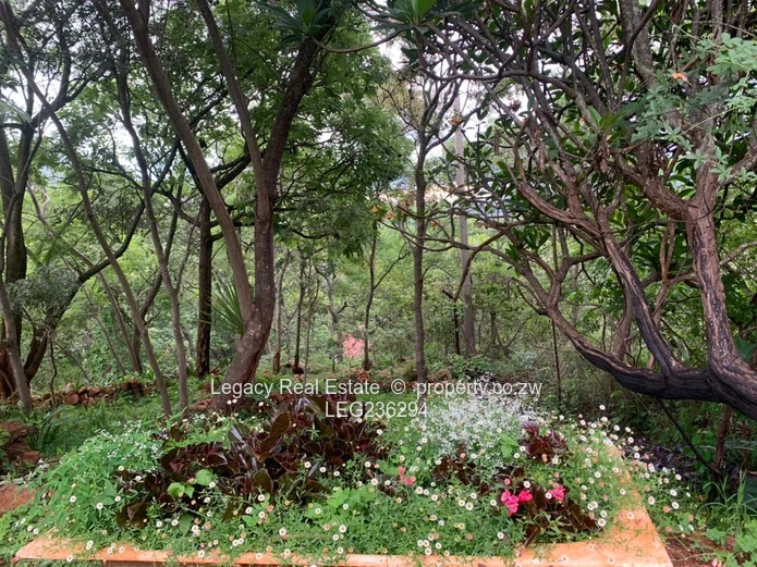 Elegant 3-Bed Borrowdale Furnished  Home