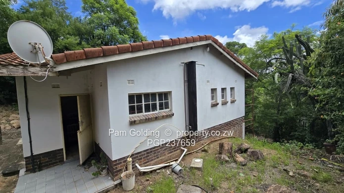 Elevated Living In Hillside