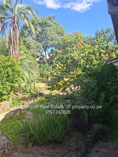 Prime Property For Sale 