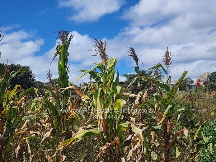 1200m² Stand in  Marondera — Near New Homes