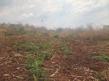 Commercial & Industrial Land